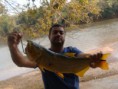 /album/pescaria-bataguassu-ms-13-09-a-17-09-2012/dsc05059-800x600-jpg/